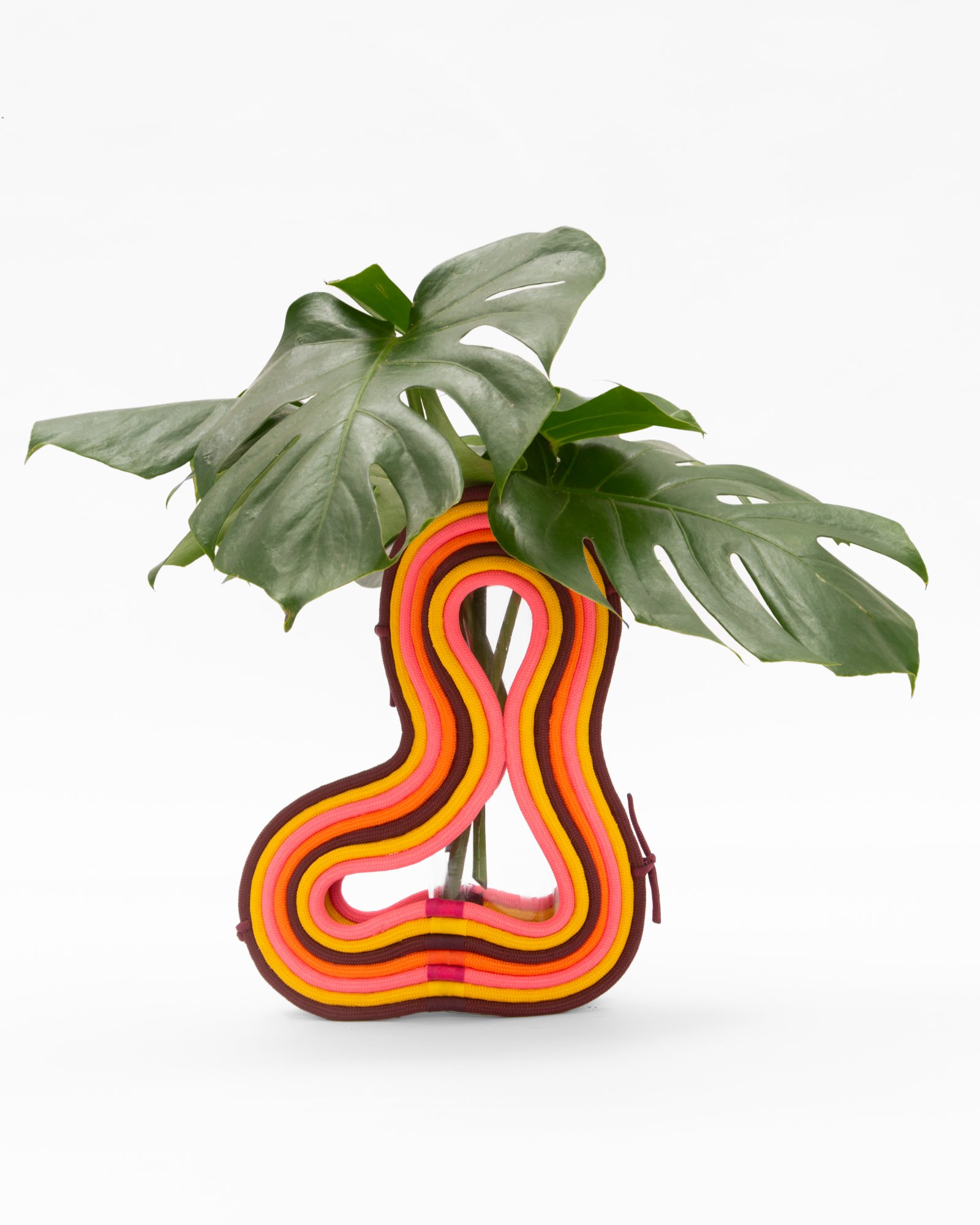 Lava vase in pink and yellow rope with monstera